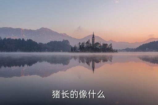 龐振國像什么，單頂鶴的頭頂像什么