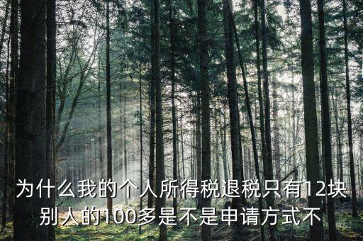 為什么我的個人所得稅退稅只有12塊別人的100多是不是申請方式不
