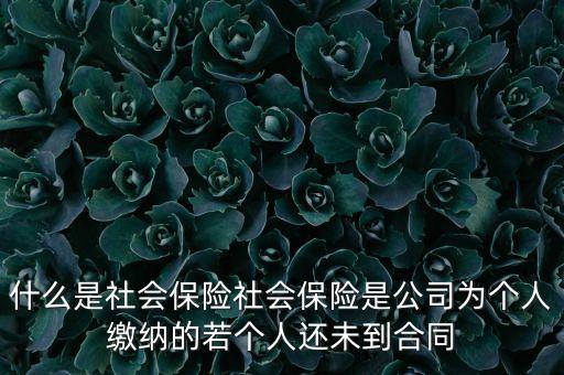 企業(yè)社會保險什么意思，單位說的社會保險什么意思