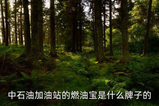 珠海中國石油里賣的是什么燃油寶，燃油寶是什么網(wǎng)上有得賣嗎
