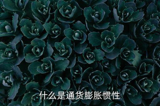 什么是通貨膨脹慣性