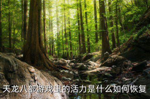 天龍八部游戲里的活力是什么如何恢復(fù)