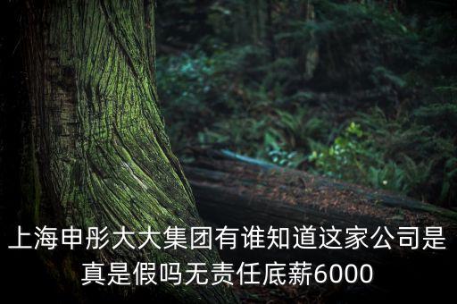 申彤大大集團賺的什么錢發(fā)工資，上海申彤大大集團有誰知道這家公司是真是假嗎無責任底薪6000