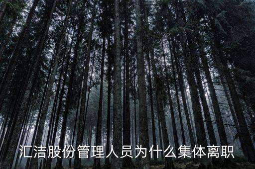 匯潔股份是做什么的，匯潔股份今天開盤為什么跌停謝謝
