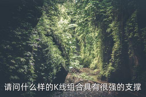請問什么樣的K線組合具有很強的支撐