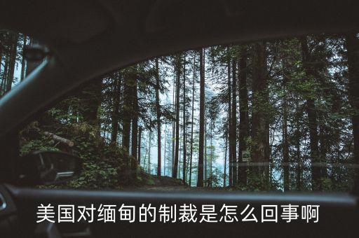 美國(guó)為什么制裁緬甸，美國(guó)對(duì)緬甸的制裁是怎么回事啊