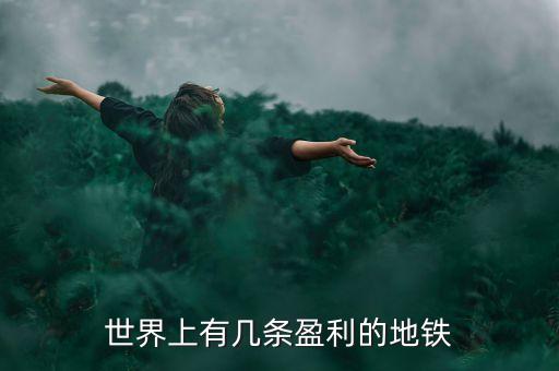 世界上有幾條盈利的地鐵