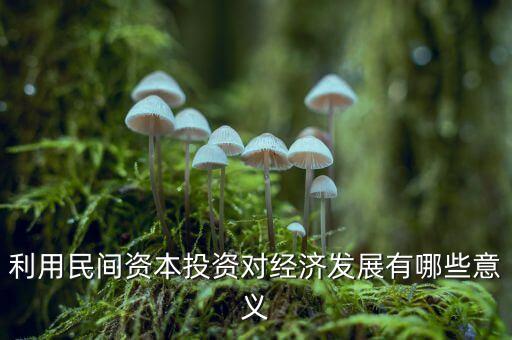 利用民間資本投資對經(jīng)濟發(fā)展有哪些意義