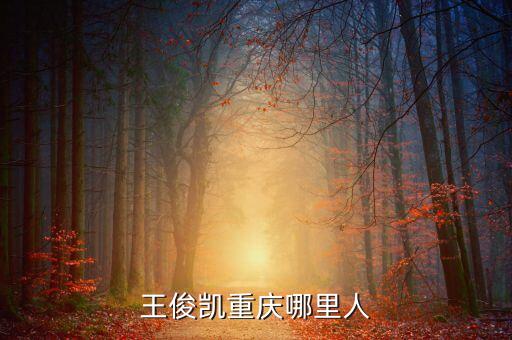 王俊凱重慶哪里人