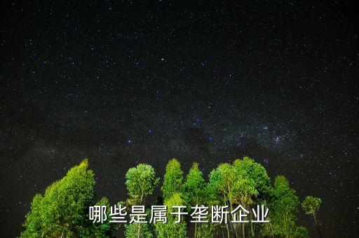 什么是消費壟斷企業(yè)，哪些是屬于壟斷企業(yè)
