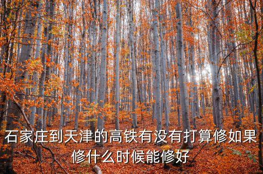 石家莊到天津的高鐵有沒有打算修如果修什么時候能修好