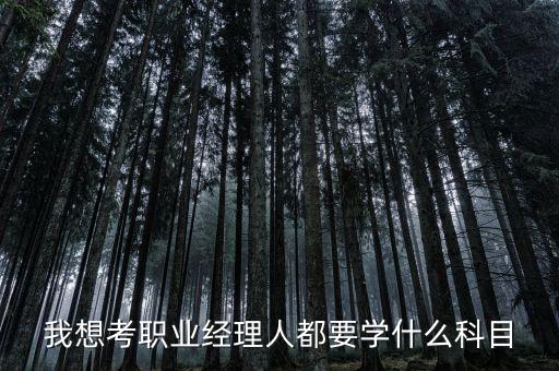 我想考職業(yè)經理人都要學什么科目