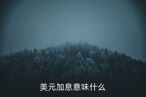 美元加息意味什么