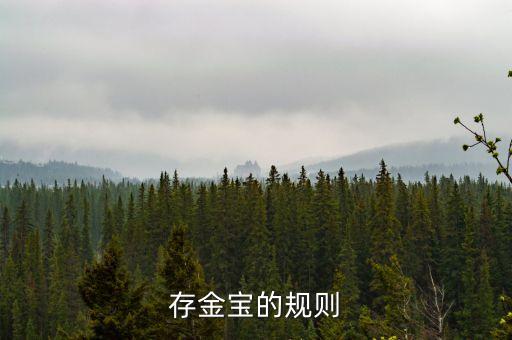 存金寶的規(guī)則