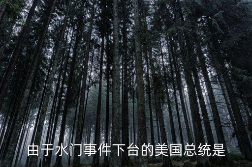 由于水門事件下臺的美國總統(tǒng)是