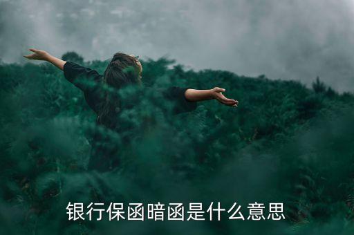 銀行保函暗函是什么意思