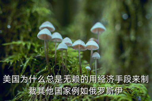 美國為什么總是無賴的用經(jīng)濟(jì)手段來制裁其他國家例如俄羅斯伊