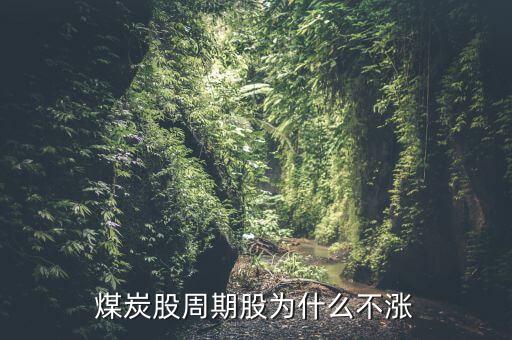 煤炭股周期股為什么不漲