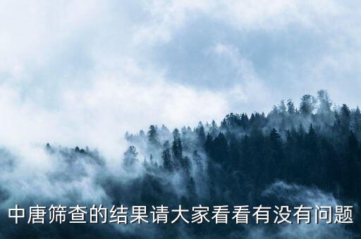 中唐篩查的結(jié)果請大家看看有沒有問題