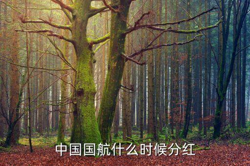 中國(guó)國(guó)航什么時(shí)候分紅