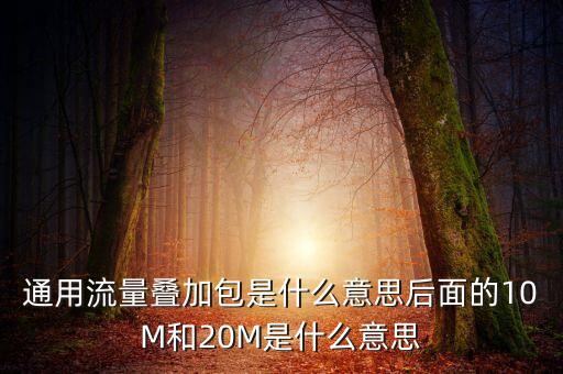 通用流量疊加包是什么意思后面的10M和20M是什么意思