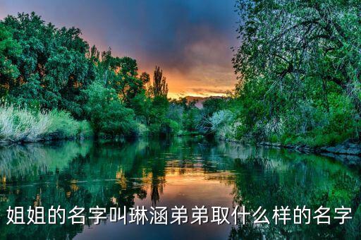 姐姐的名字叫琳涵弟弟取什么樣的名字