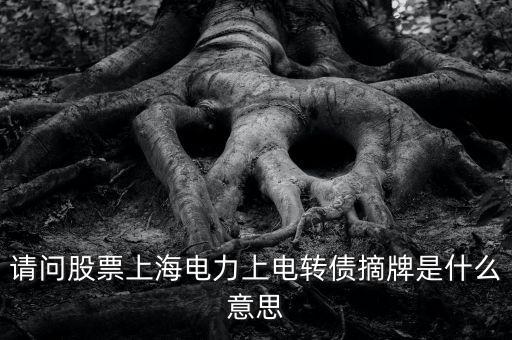請問股票上海電力上電轉(zhuǎn)債摘牌是什么意思