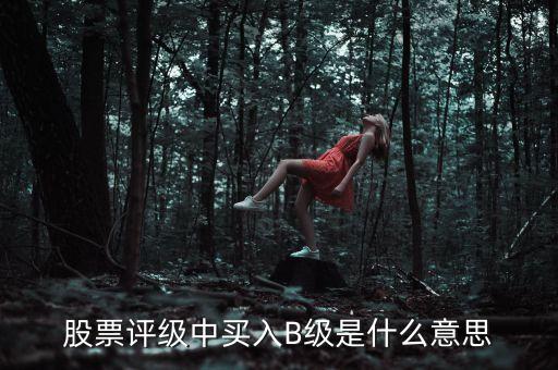 b級股票是什么，股票評級中買入B級是什么意思