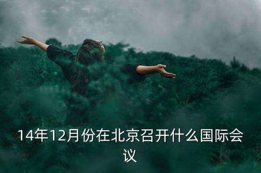 總理一般會出席什么國際會議，英國的懸浮議會