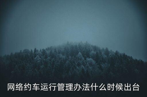出租車改革什么時候公布，國家對出租車有什么政策改革方案
