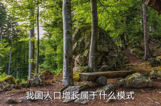 我國人口增長屬于什么模式