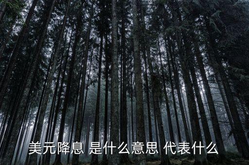 美元降息 是什么意思 代表什么