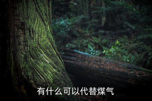 有什么可以代替煤氣