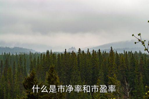 什么是市凈率和市盈率