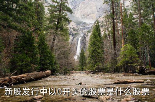 新股發(fā)行中以0開頭的股票是什么股票
