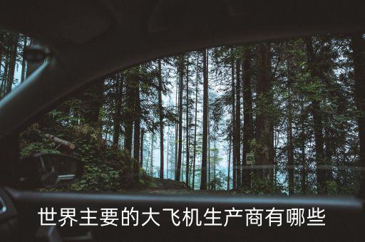 西飛為大飛機(jī)生產(chǎn)什么東西，世界主要的大飛機(jī)生產(chǎn)商有哪些