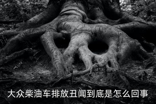 大眾柴油車排放丑聞到底是怎么回事
