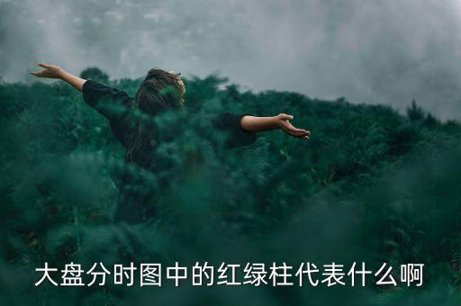 大盤分時(shí)線隨近的柱代表什么，股票分時(shí)圖下面黃藍(lán)白柱各表示什么