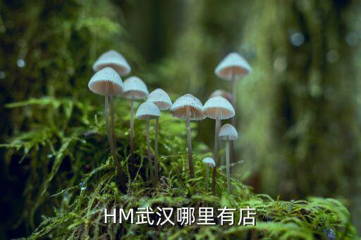 武漢禧h酒店什么時(shí)間開業(yè)，武漢哪里有快開張的酒店