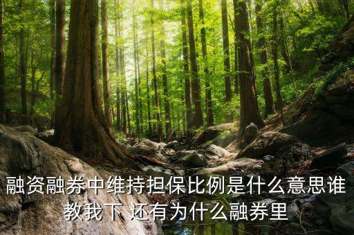 融資里擔(dān)保比例是什么意思，什么是融資融券維持擔(dān)保比例