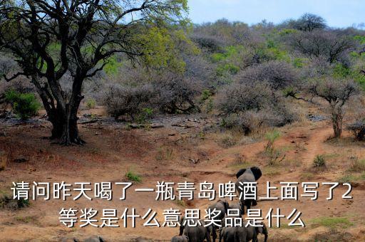 請(qǐng)問(wèn)昨天喝了一瓶青島啤酒上面寫(xiě)了2等獎(jiǎng)是什么意思獎(jiǎng)品是什么