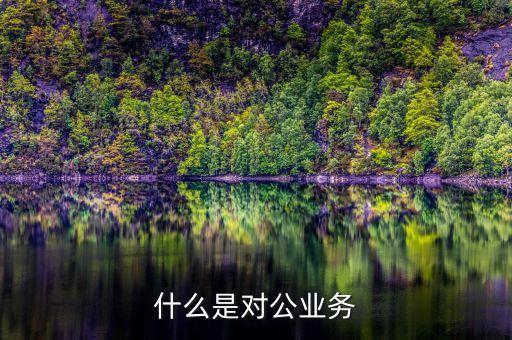 滴滴對(duì)公業(yè)務(wù)是什么，什么是對(duì)公業(yè)務(wù)