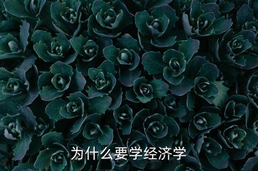 為什么要學(xué)經(jīng)濟(jì)學(xué)
