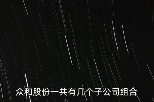眾和股份收購什么資產(chǎn)，眾和股份一共有幾個子公司組合