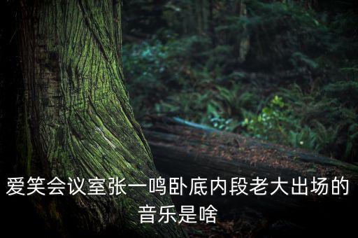 愛笑會議室張一鳴臥底內(nèi)段老大出場的音樂是啥
