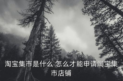 淘寶集市店鋪是什么，淘寶集市店是什么