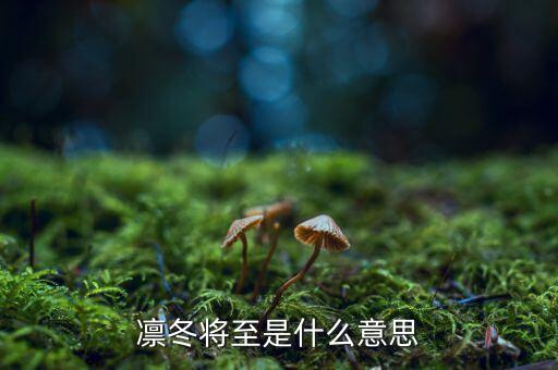 凜冬將至是什么意思