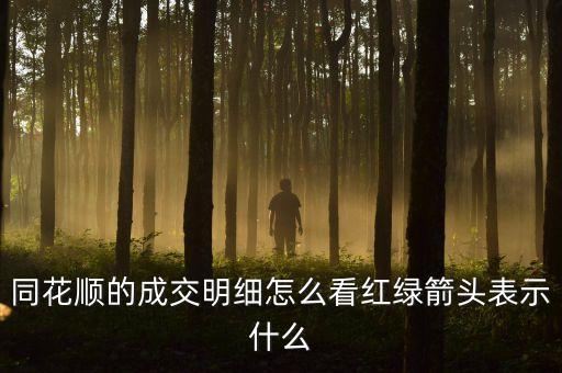 同花順的成交明細(xì)怎么看紅綠箭頭表示什么