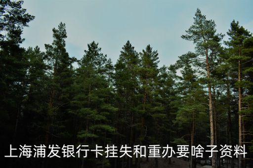 浦發(fā)銀行卡掛失需要什么，上海浦發(fā)銀行卡掛失步驟