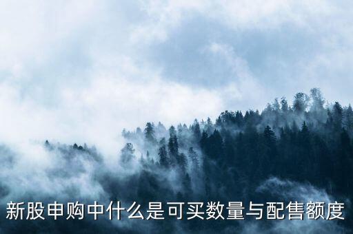 新股申購中什么是可買數(shù)量與配售額度